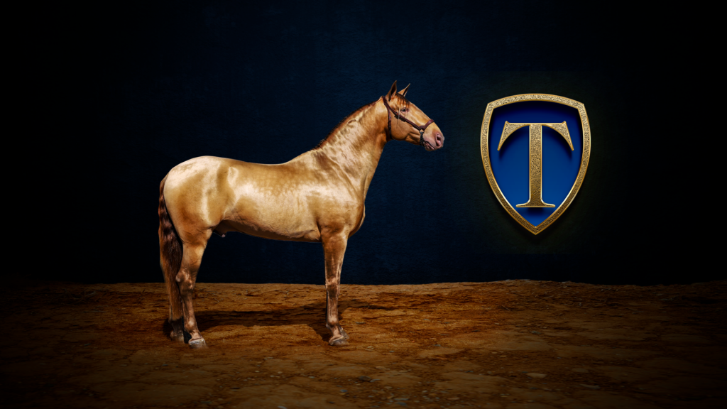 tovar hero1