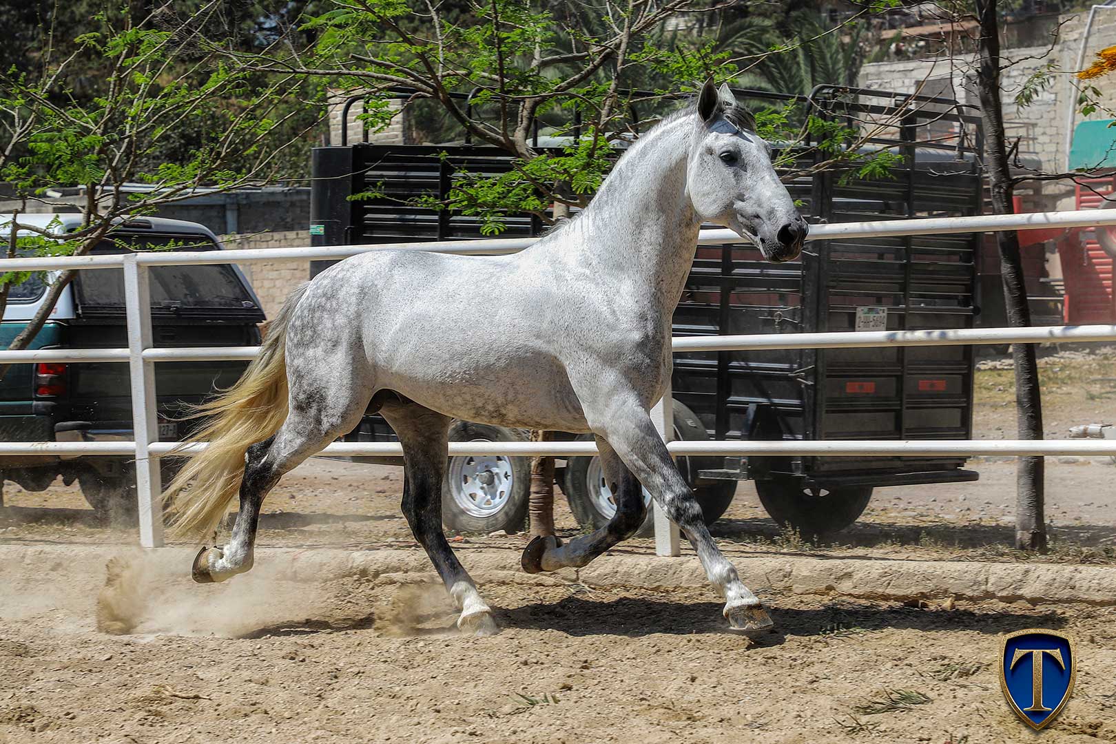 HECHICERO MTB